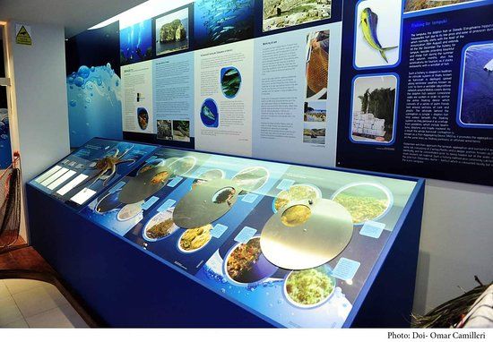 Dwejra Marine Environmental Education Centre
